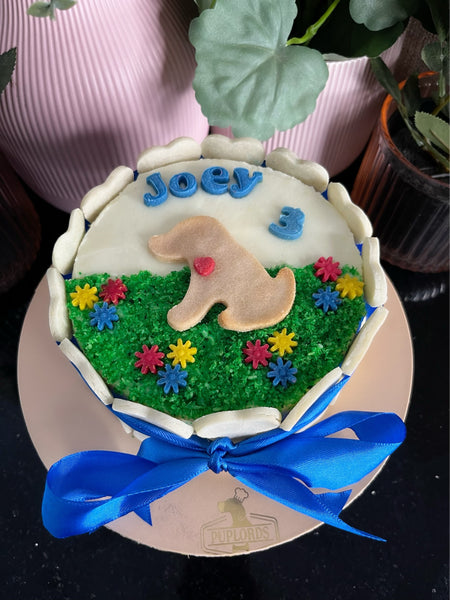 Simple Garden Cake