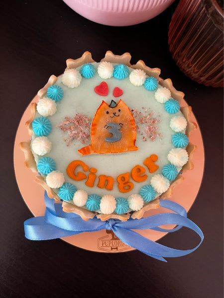 Pusheen Cat