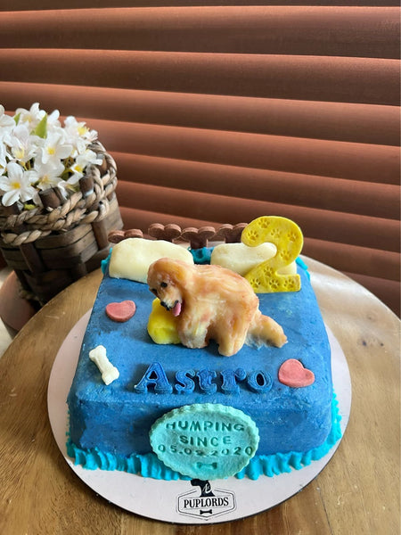 Cushion Humper Cake