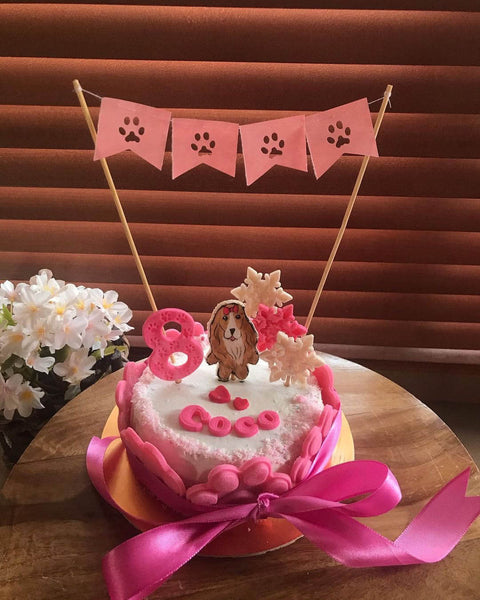 Winter Wonder Cake