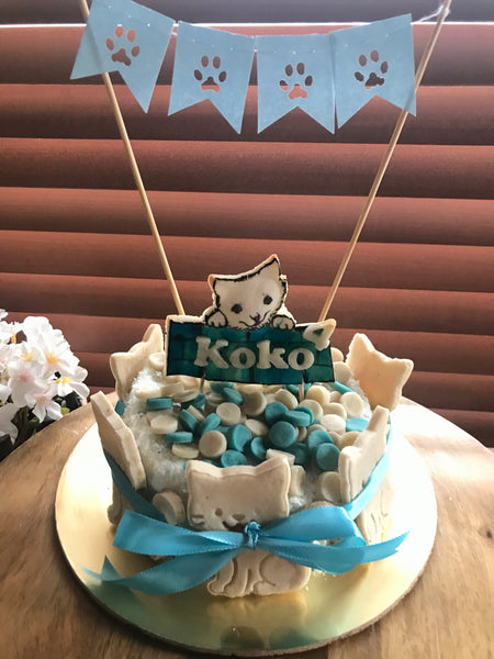 Confetti Cat Cake