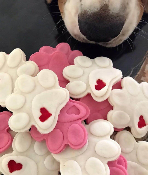 Paws of Treats