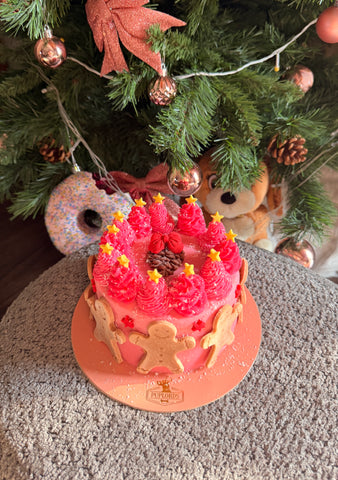 Xmas Cake