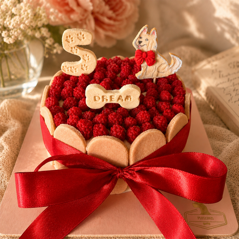 Raspberry Bliss Cake