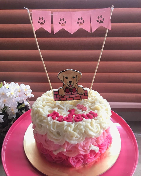 Rosette Pink Dog Cake